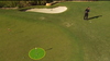 Mickelson Chip