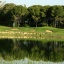 Pasha Course Pasha Course