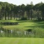 Pasha Course Pasha Course