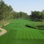 Pasha Course Pasha Course