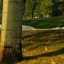 Curia Golf Club