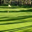 Golf Quinta da Barca Golf Quinta da Barca