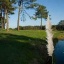 Golf Quinta da Barca Golf Quinta da Barca