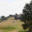 Don Tello Club de Golf de Mérida Don Tello Club de Golf de Mérida