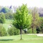 Golfclub Haus Kambach Eschweiler-Kinzweiler e.V.