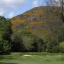 Prestonfield Golf Club Prestonfield Golf Club