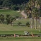 Santa Clara Golf Santa Clara Golf