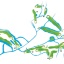 Course plan Course plan