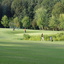 Green Nr. 3 Green Nr. 3