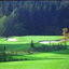 Golfpark Waldkirch Golfpark Waldkirch