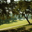 Club de Campo de Cordoba Club de Campo de Cordoba