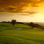 Roman Road Hole 5 Roman Road Hole 5