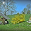 Golf Club Thayatal-Drosendorf Golf Club Thayatal-Drosendorf