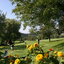 Blick vom Clubhaus über das Putting-Green zu Grün 3 Blick vom Clubhaus über das Putting-Green zu Grün 3