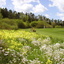 Frühling an der Bahn 16 Frühling an der Bahn 16