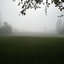 Herbst an der Banhn 9 Herbst an der Banhn 9