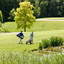 Golfclub Hösel e.V. Golfclub Hösel e.V.
