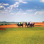 Range Planting Range Planting