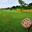 Tee Off 3rd Hole Tee Off 3rd Hole