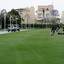 Driving Range Driving Range