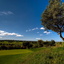 Pestana Silves 12thHole Pestana Silves 12thHole