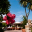 Restaurante Roca Viva