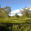 green hole n°- 9 green hole n°- 9