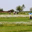 Golfpark Gut Hühnerhof - 18 Loch Platz Golfpark Gut Hühnerhof - 18 Loch Platz