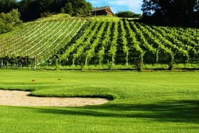 A golf Olimje