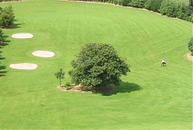 Ballymote Golf Club