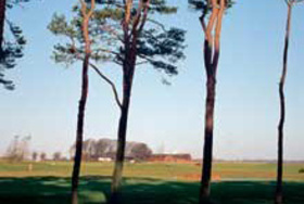 Bedinge Golfklubb