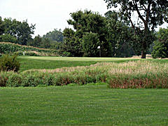 Bunker Links Golf Course