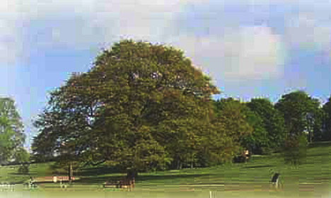 Canwick Park Golf Club