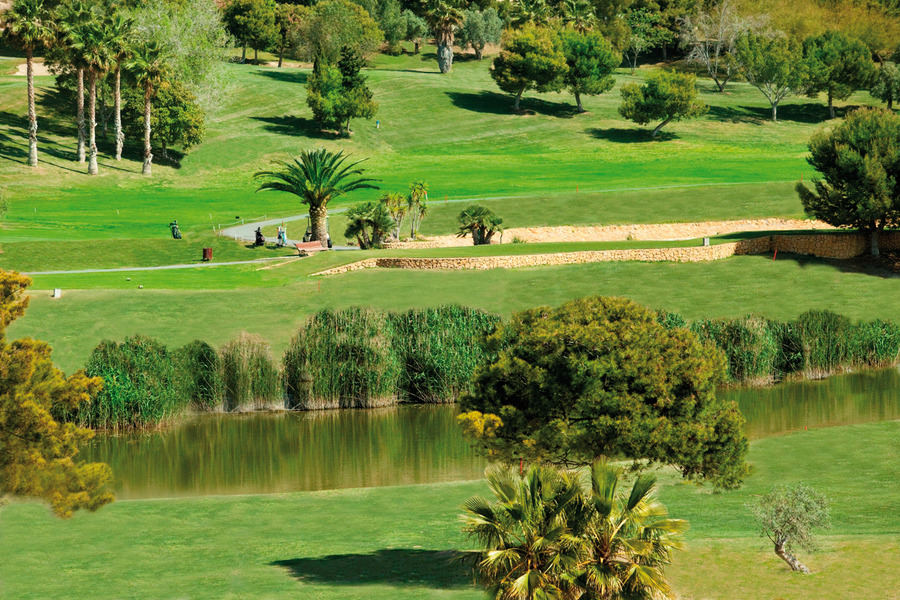 Mejores Campos de Golf Alicante Kasa25