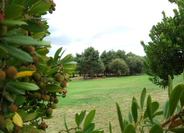 Club de Golf El Bierzo