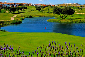 Club de Golf Hato Verde