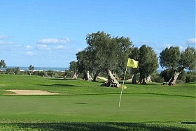 Coccaro Golf Club