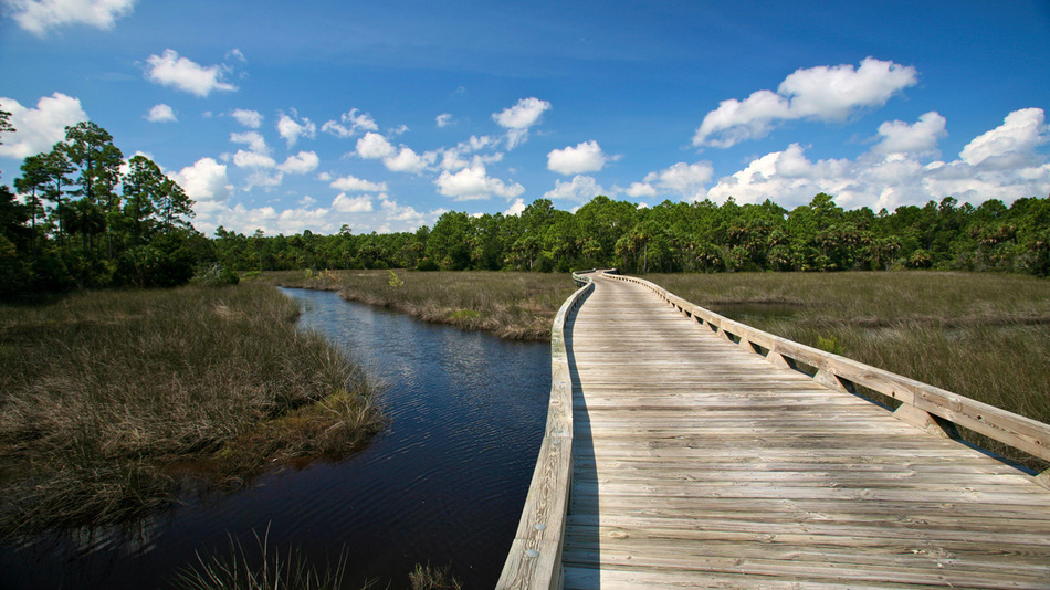 Creek Course at Hammock Dunes, Palm Coast, FL Albrecht Golf Guide
