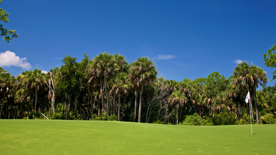 Creek Course At Hammock Dunes Palm Coast FL Albrecht Golf Guide