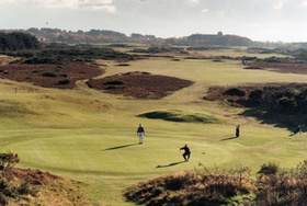 Darley Golf Club