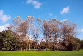 Derby Golf Club