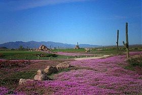 Desert Springs Golf Club