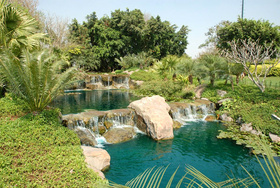 Dlf Golf & Country Club