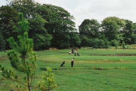 Dunmore Demesne Golf Course