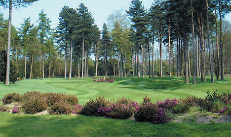 Forest Pines Golf Club