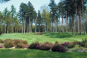 Forest Pines Golf Club