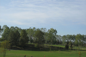 Golf Club I Girasoli