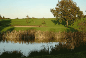 Golf de Moulins les Avenelles