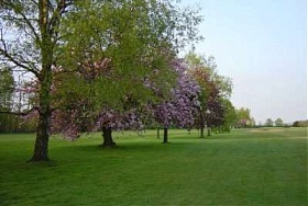 Golf de Thumeries Douai