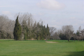 Golf Orange